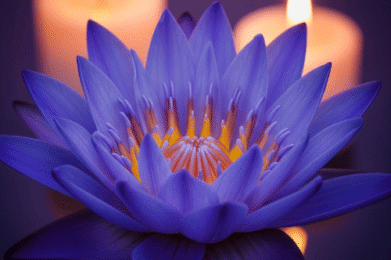 Eine schillernde blaue Lotusblume, deren zarte Blütenblätter von warmem Licht umspielt werden, symbolisierend die Tiefe der Meditation, die Klarheit des Geistes und die spirituelle Reise, die in der Tantra Massage ihren Ausdruck findet.